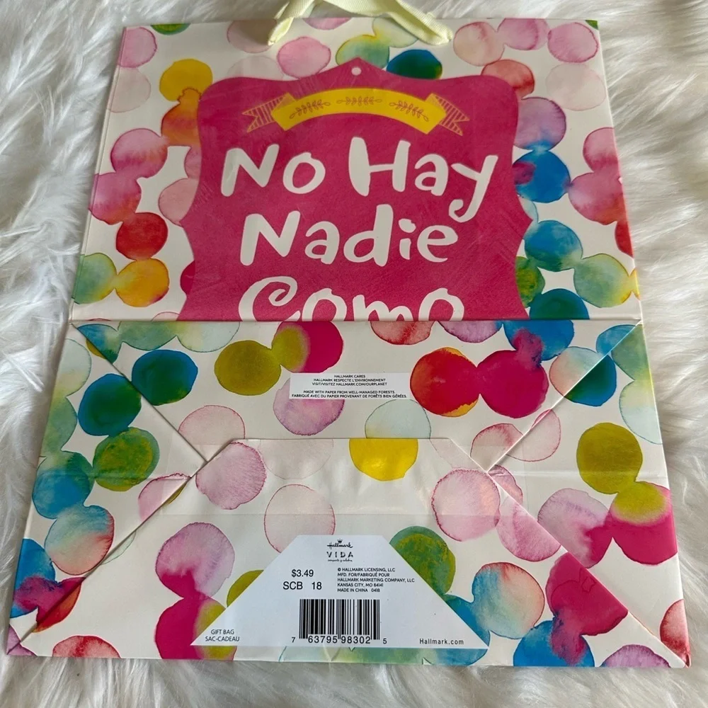 🩵5/$8 Colorful Gift Bag with Inspirational Message